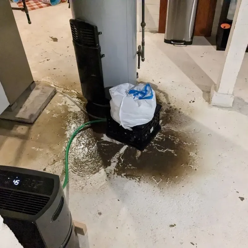 Sewage Backup Cleanup Service in Townsend, MA